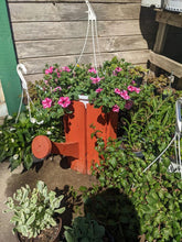 Load image into Gallery viewer, Water Can Flower Pots
