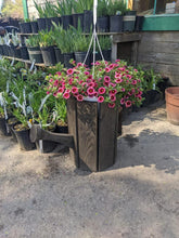 Load image into Gallery viewer, Water Can Flower Pots
